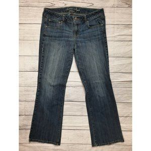 M3J American Eagle Favorite Boyfriend Jean 14 Reg